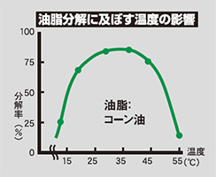 油脂分解に及ぼす温度の影響