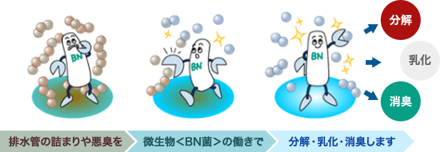 排水管の詰まりや悪臭を微生物＜BN菌＞の働きで分解・乳化・消臭します 分解 乳化 消臭