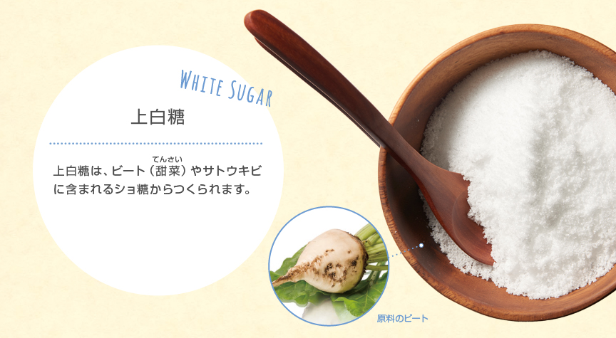 上白糖は、ビート（甜菜）やサトウキビに含まれるショ糖からつくられます。